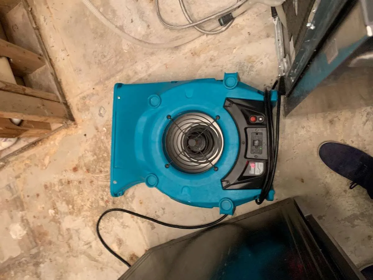 Air mover drying equipment for Mold Remediation & Removal in Cottage Grove
